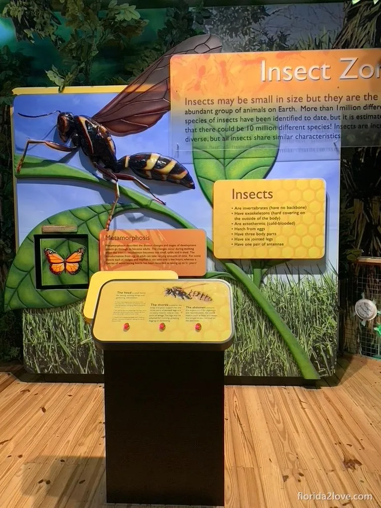 Interactive exhibit
