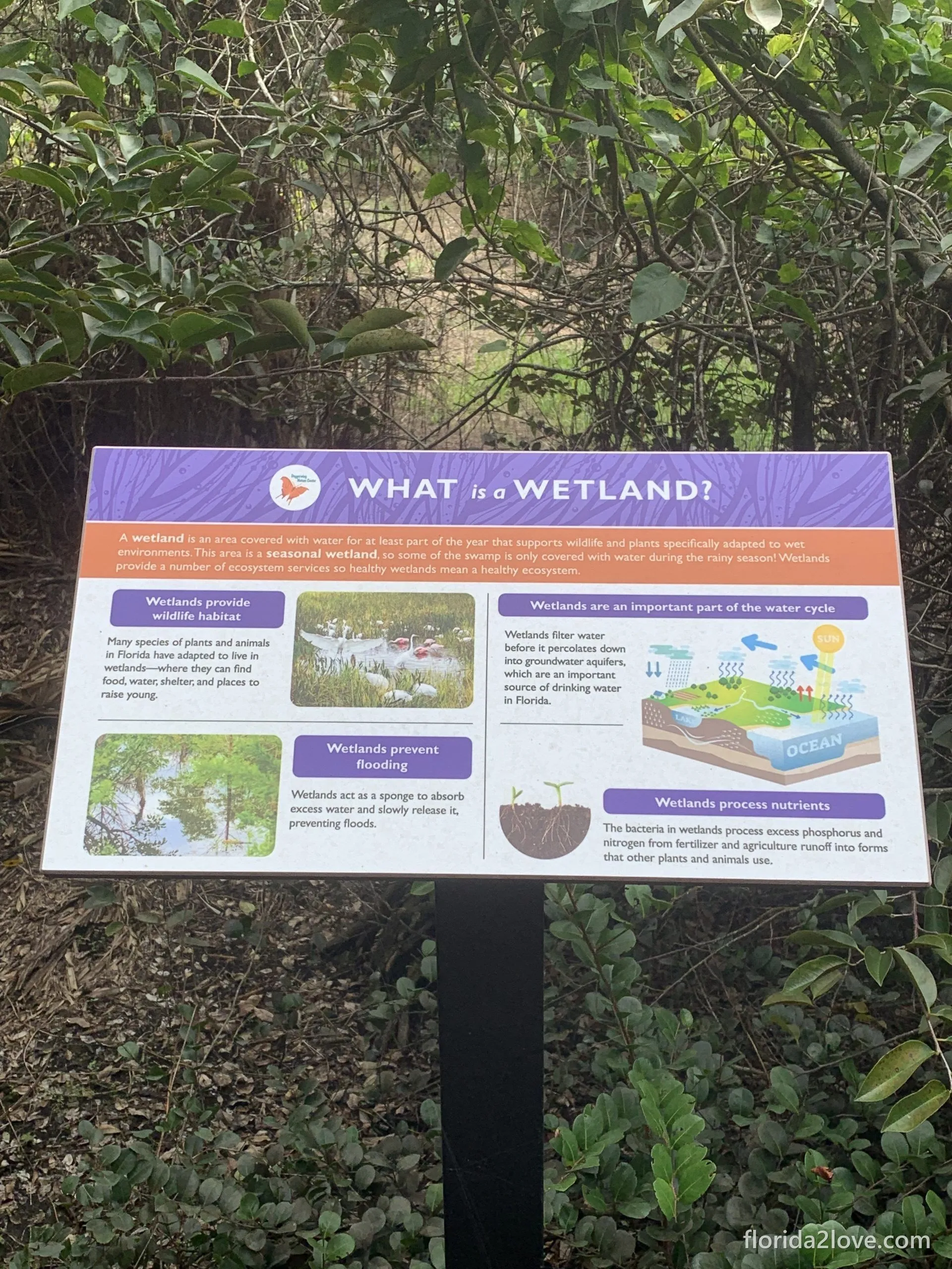 Information board - wetland