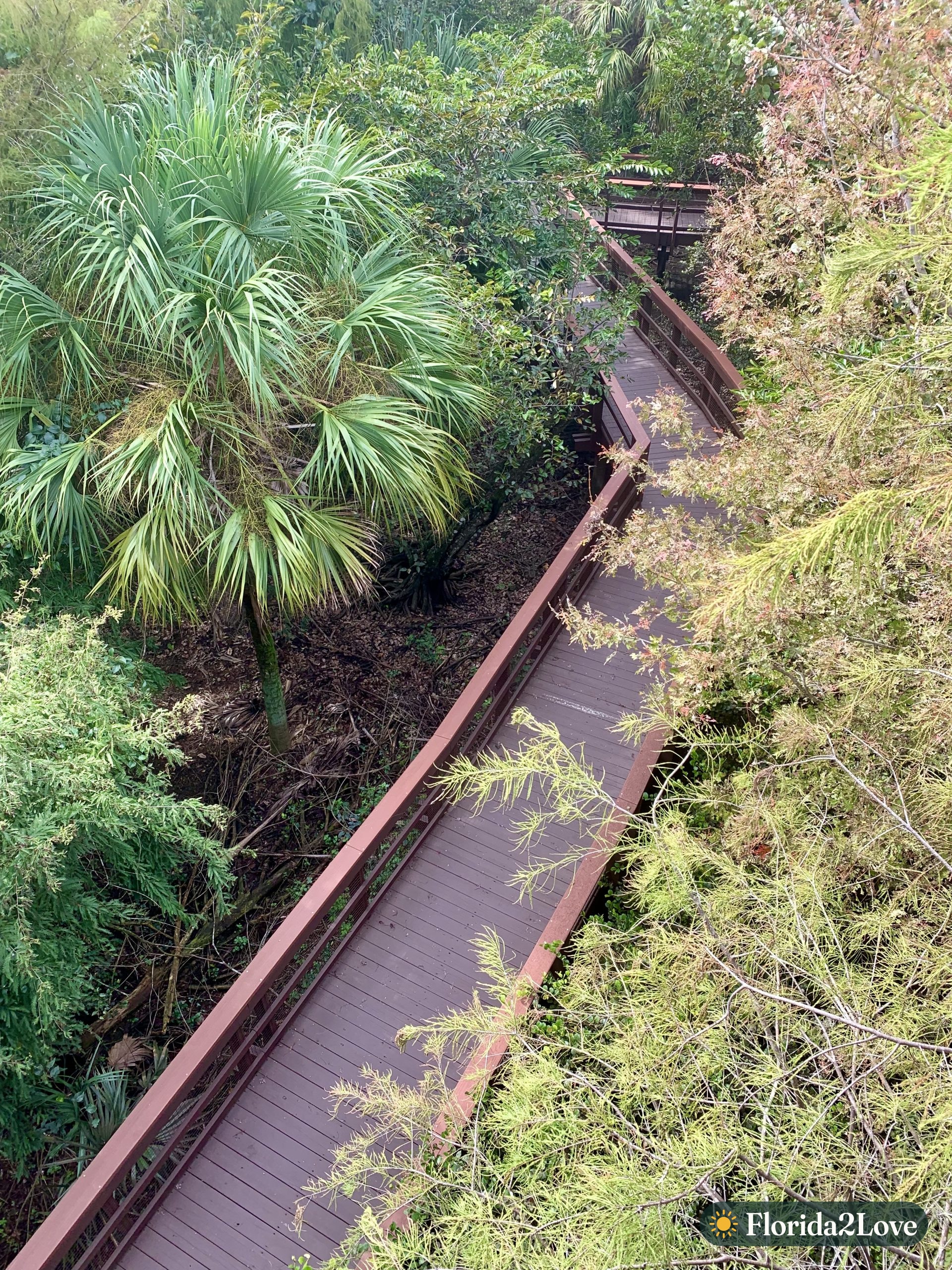 Vista desde la torre de observación del Centro de Naturaleza Daggerwing