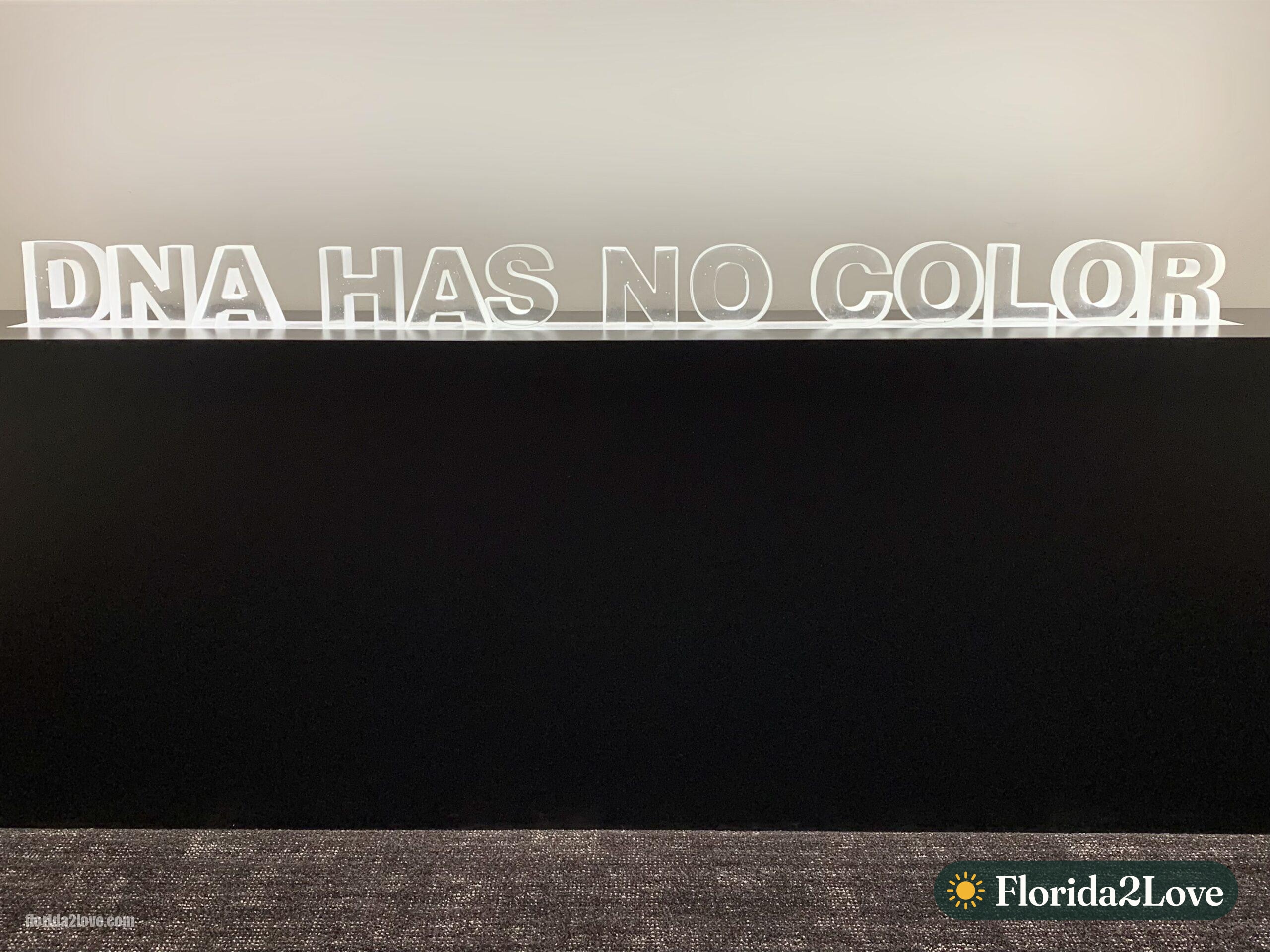 DNA Has No Color, Nancy Burson